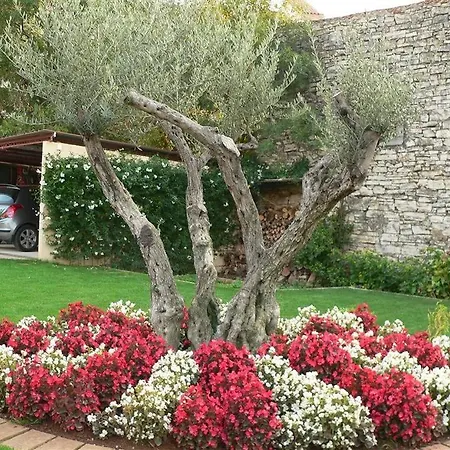 Maria Di Torre With Private Pool Near Porec 4 Km From The Sea *